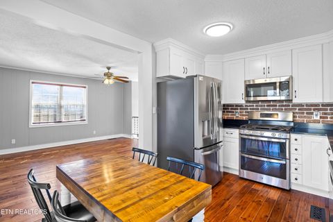 Tiny photo for 541 Sunflower Circle, Sweetwater, TN 37874 (MLS # 1330268)