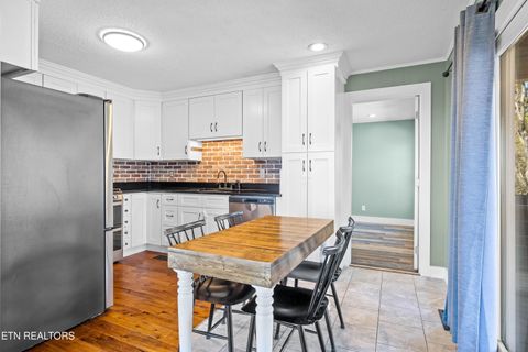 Tiny photo for 541 Sunflower Circle, Sweetwater, TN 37874 (MLS # 1330268)