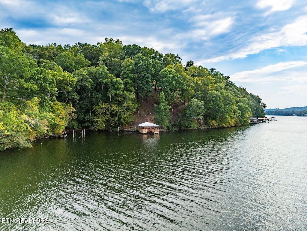 Photo of 542 Sunset Hills Lane, Spring City, TN 37381 (MLS # 1303569)