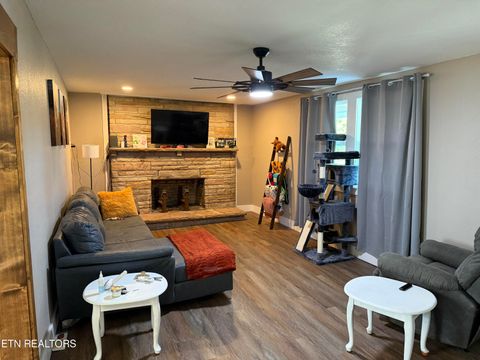 Tiny photo for 8415 Morgan County Hwy, Sunbright, TN 37872 (MLS # 1317216)