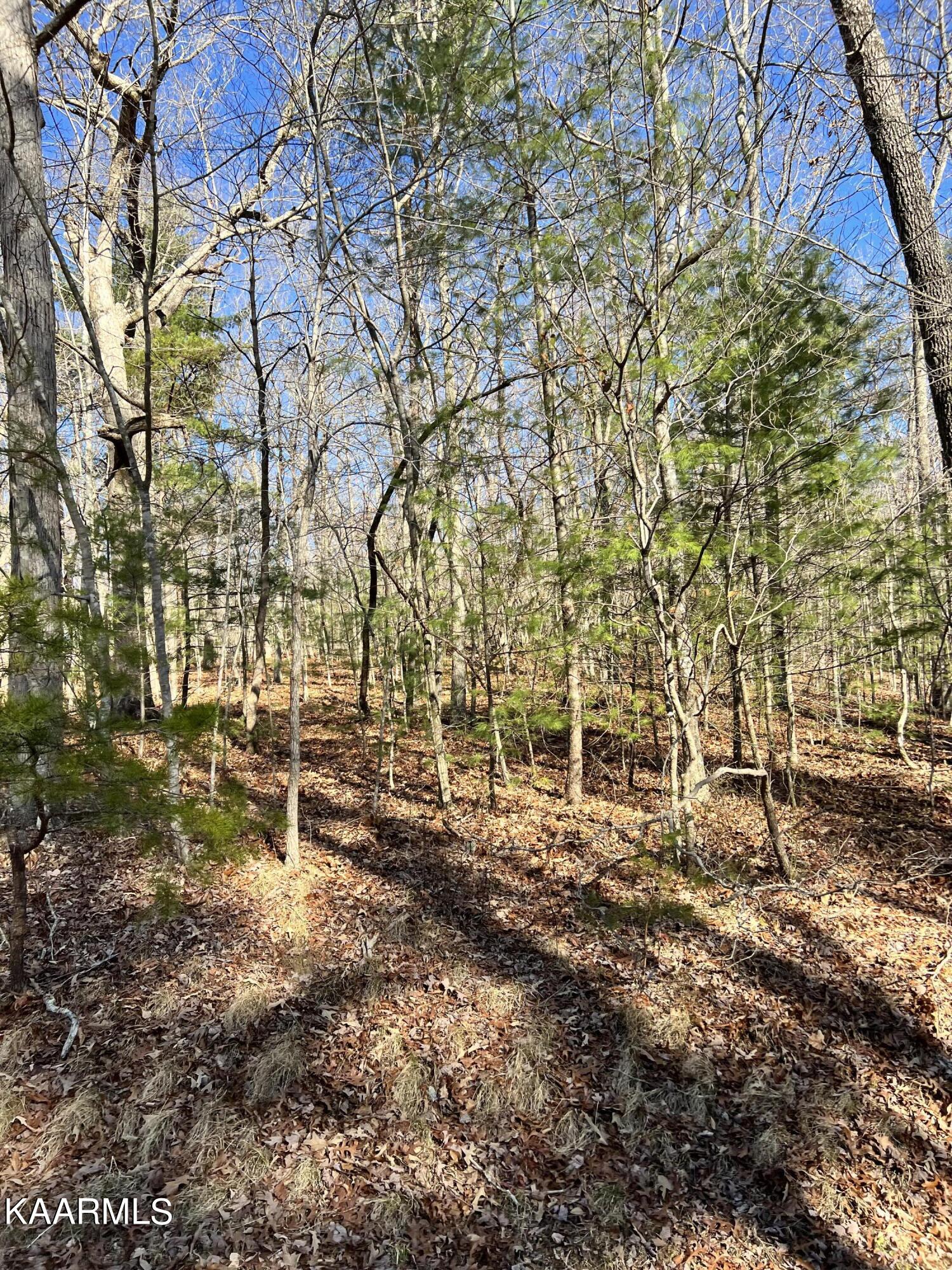 Photo 1 of 1 of 156 Rotherham Drive land