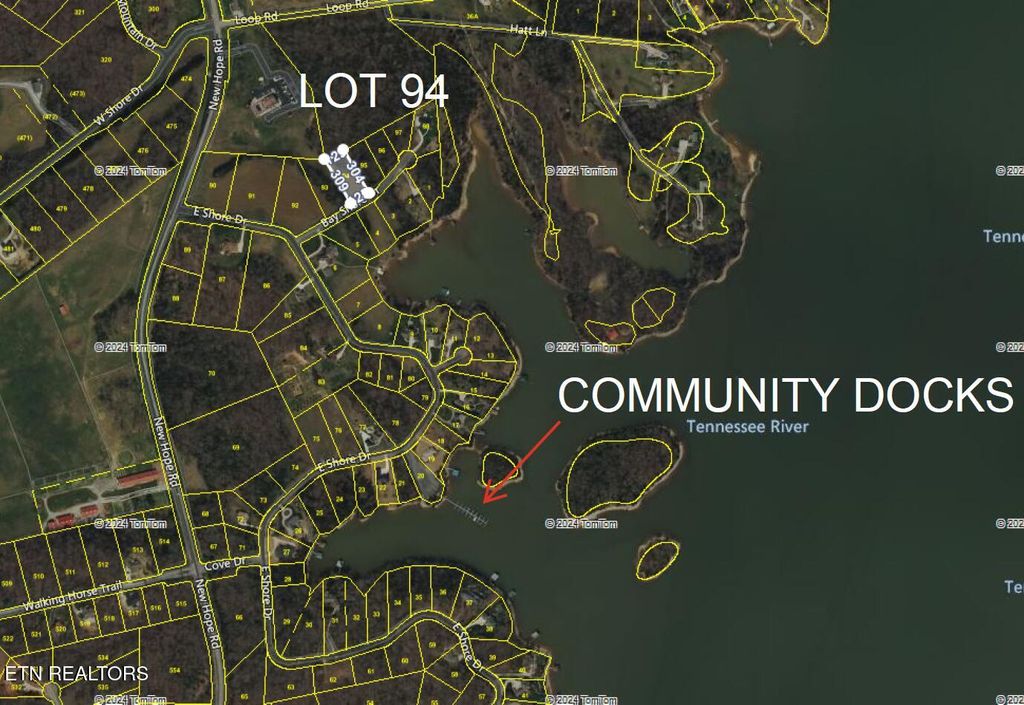 Photo of 205 Bay Shore Drive, Rockwood, TN 37854 (MLS # 1291205)