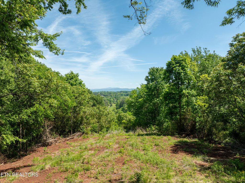 Photo of 13389 Meadow Rd, Lenoir City, TN 37772 (MLS # 1339130)