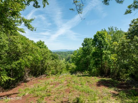 Photo of 13389 Meadow Rd, Lenoir City, TN 37772 (MLS # 1339130)