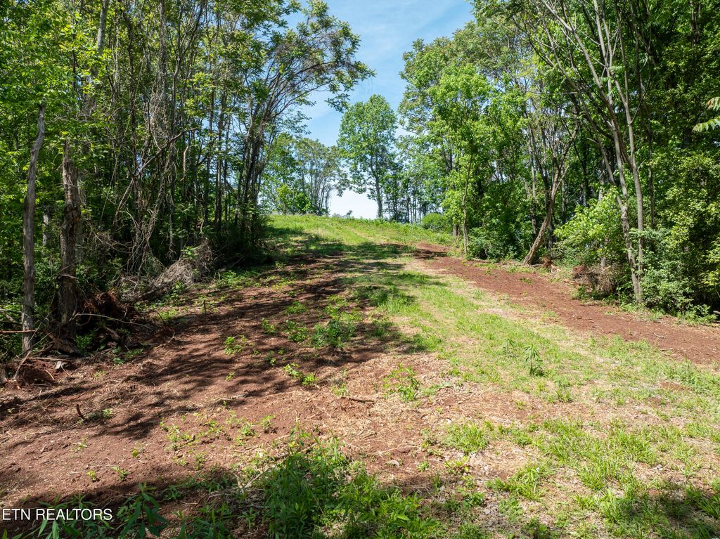 Photo of 13389 Meadow Rd, Lenoir City, TN 37772 (MLS # 1339130)