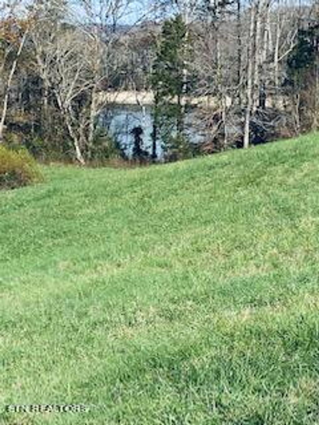 Photo of Bob Wright Rd Lot 41 Rd, Maynardville, TN 37807 (MLS # 1255017)