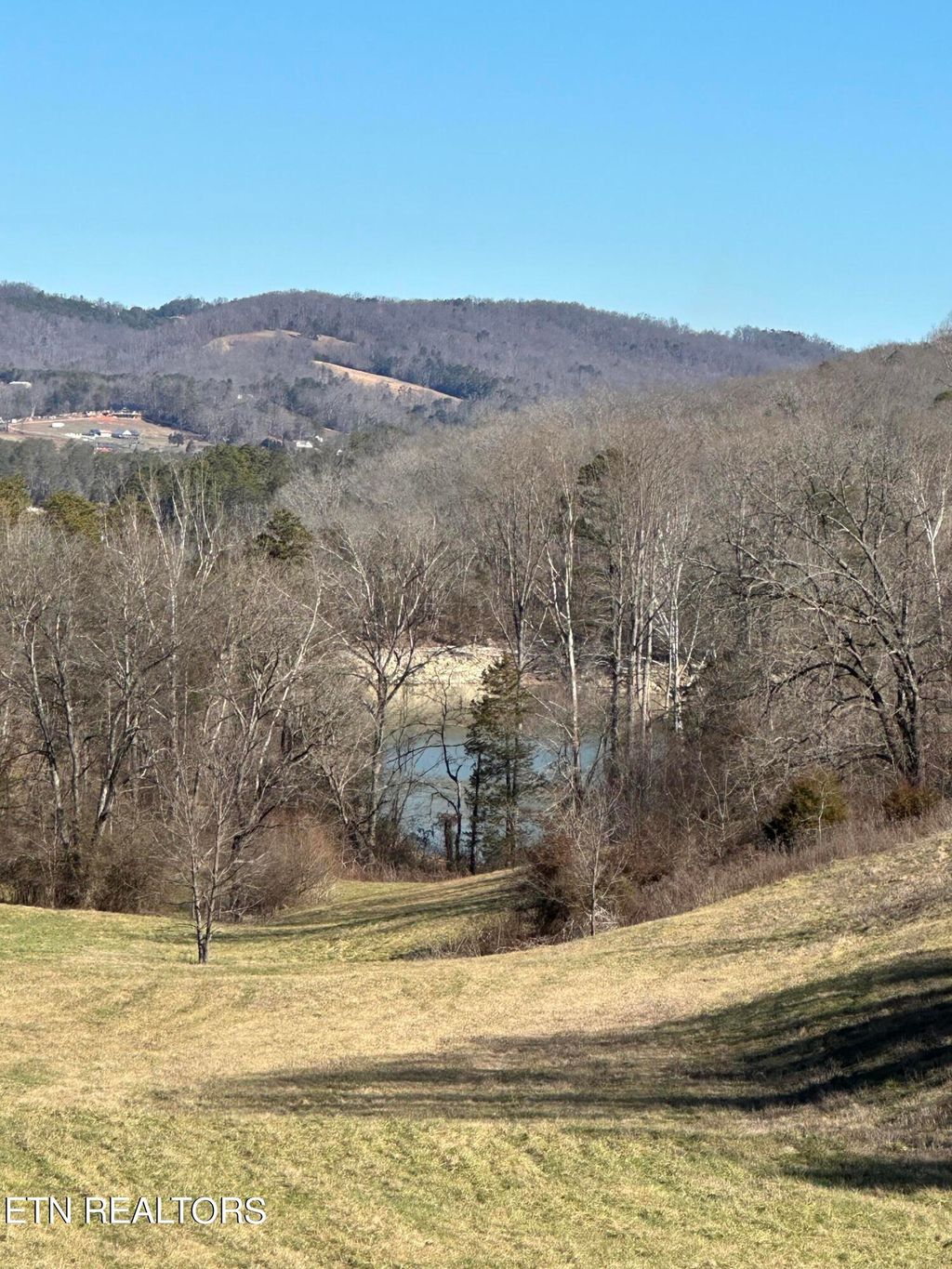 Photo of Bob Wright Rd Lot 41 Rd, Maynardville, TN 37807 (MLS # 1255017)