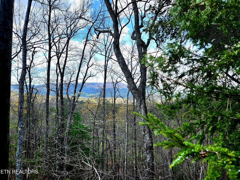 Photo of Windmere Way Lot Po49, Sevierville, TN 37862 (MLS # 1282301)