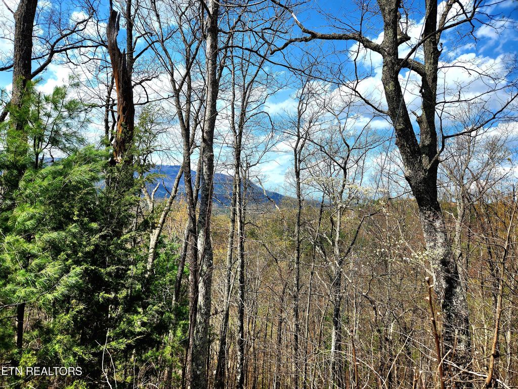 Photo of Windmere Way Lot Po49, Sevierville, TN 37862 (MLS # 1282301)