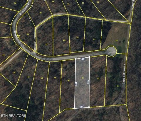Photo of 51 Horseshoe Bnd, Speedwell, TN 37870 (MLS # 1317471)