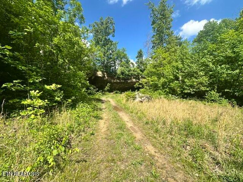 Photo of 00 Bear Knob Lane, Crawford, TN 38554 (MLS # 1342758)