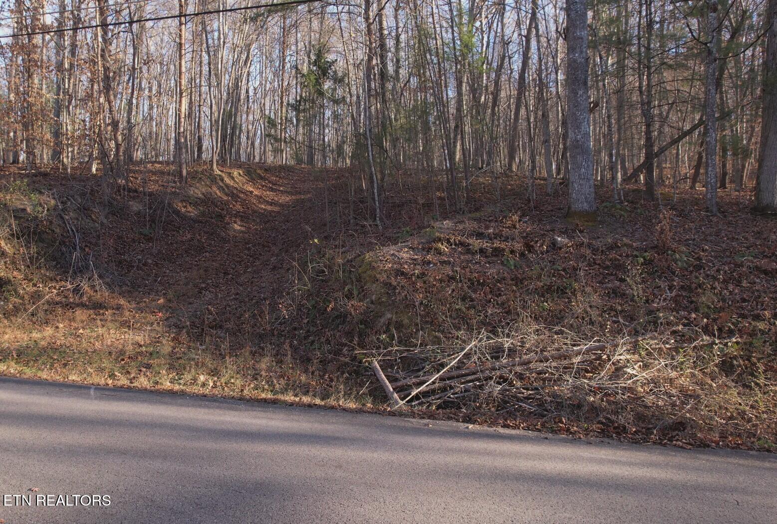 Lot 118 Hiwassee View Drive