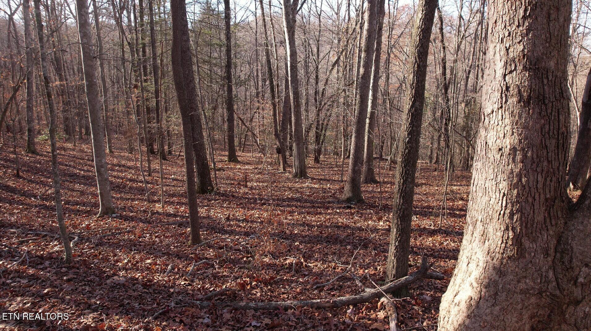 Lot 118 Hiwassee View Drive