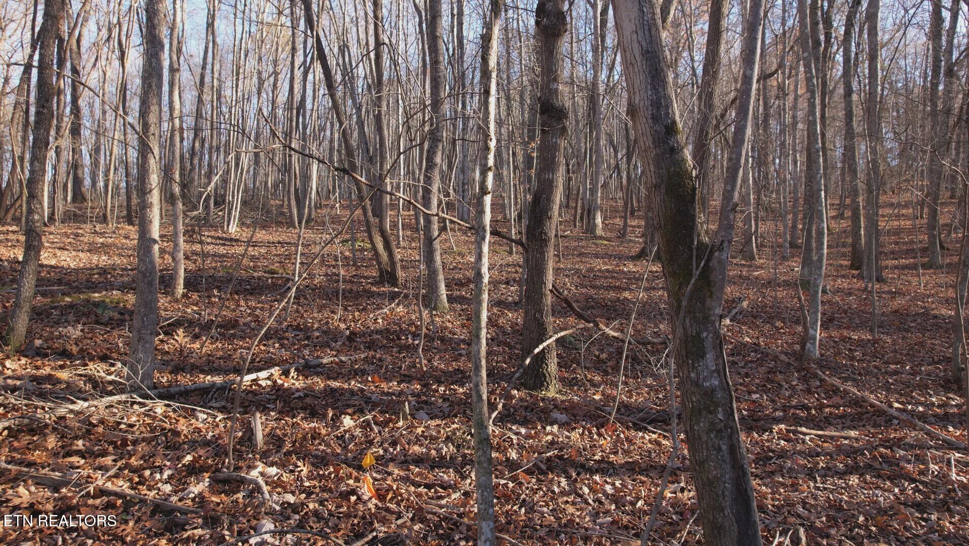 Lot 118 Hiwassee View Drive