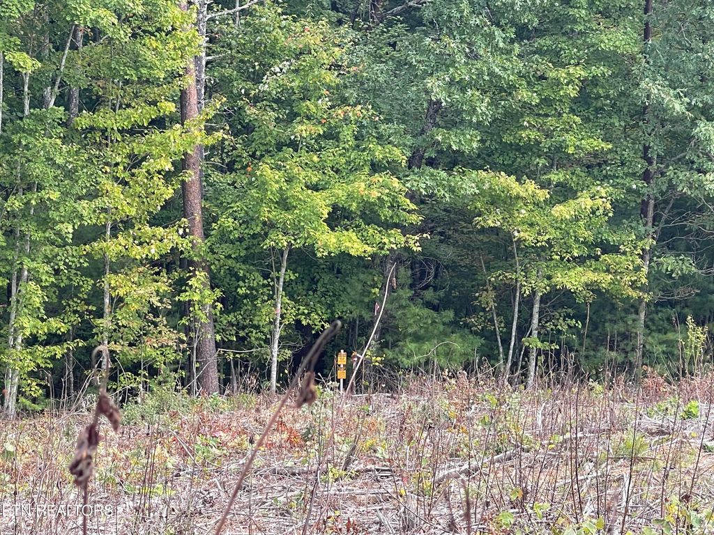 Photo of 1 Hwy 68, Tellico Plains, TN 37385 (MLS # 1279029)