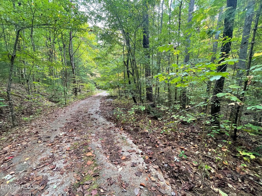 Photo of 1 Hwy 68, Tellico Plains, TN 37385 (MLS # 1279029)