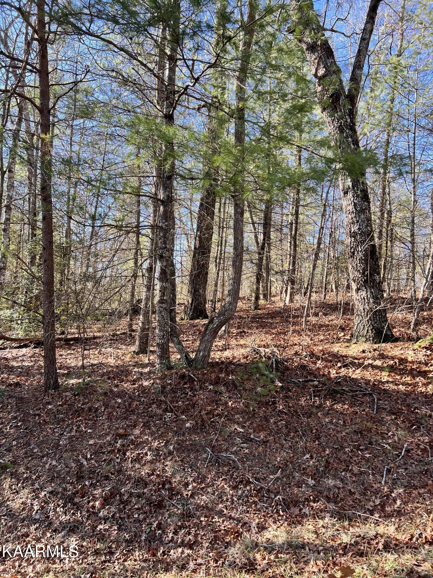 Photo 1 of 1 of 162 Natchez Circle land