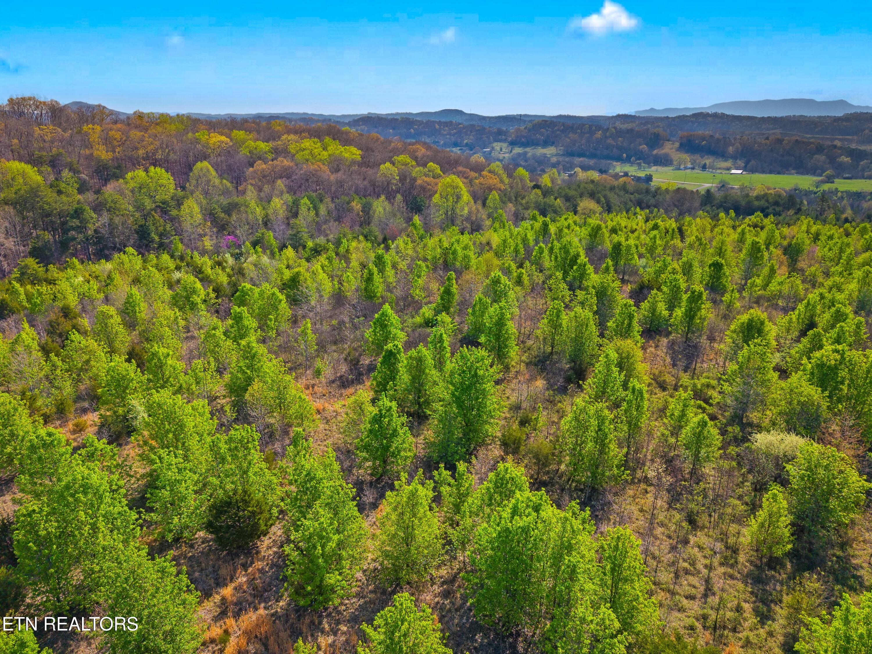 Tract 1 W Dumplin Valley Rd