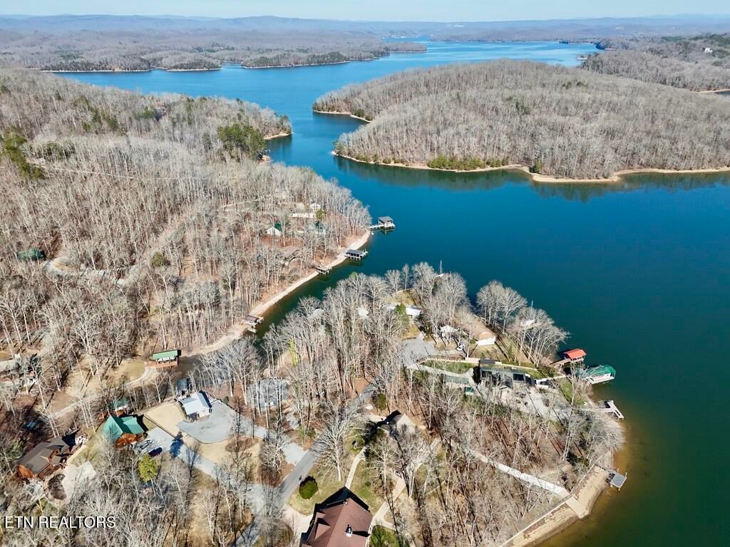 Photo of 133 Nodding Pines Way, Ten Mile, TN 37880 (MLS # 1327782)