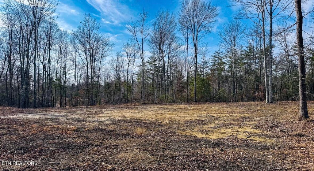 Photo of 245 Old Beaty Pvt Rd, Winfield, TN 37892 (MLS # 1329088)