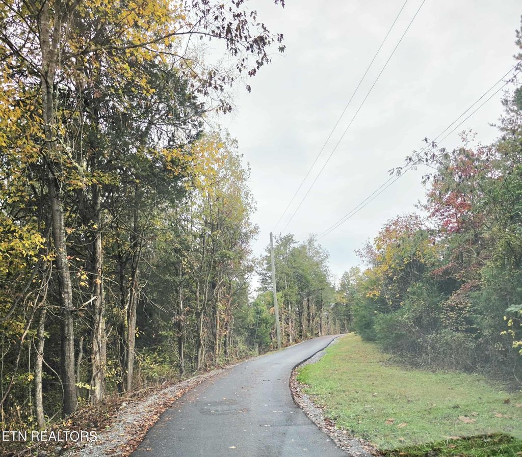 Photo of 1539 Creek side Drive Dr, Sevierville, TN 37876 (MLS # 1320842)