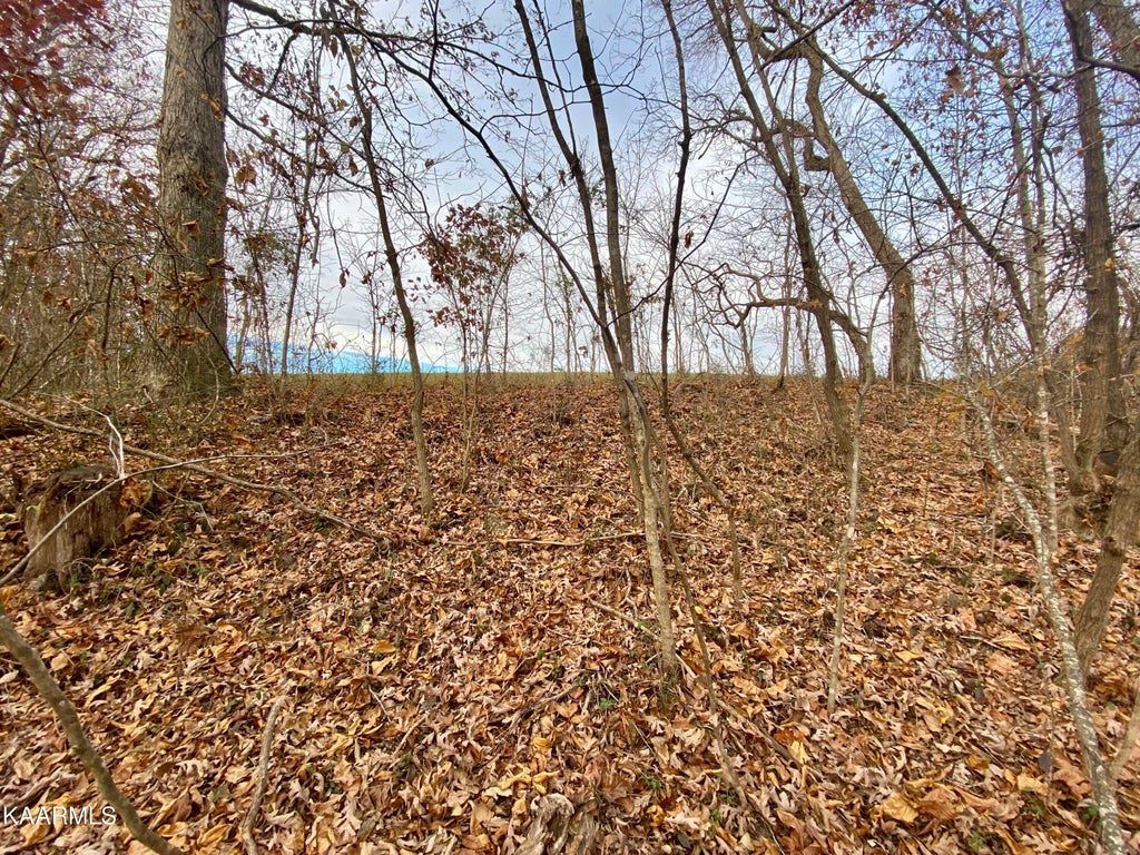 Photo of 227 Jade Lane, New Tazewell, TN 37825 (MLS # 1160632)