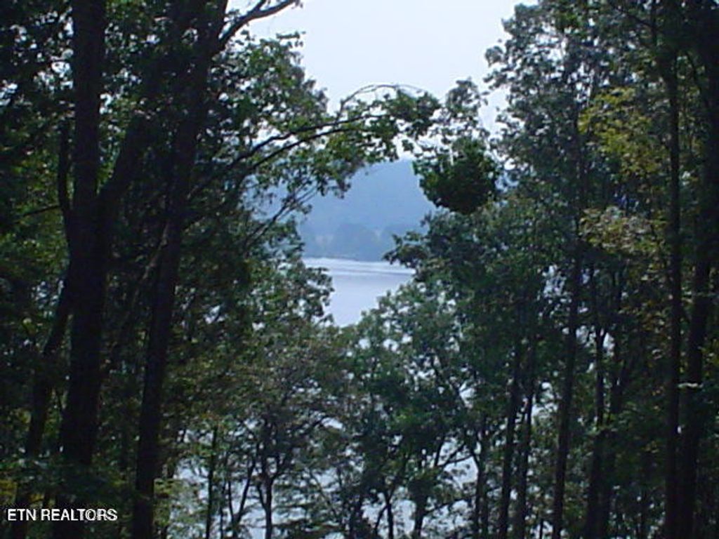 Photo of E Shore Drive, Rockwood, TN 37854 (MLS # 1285541)