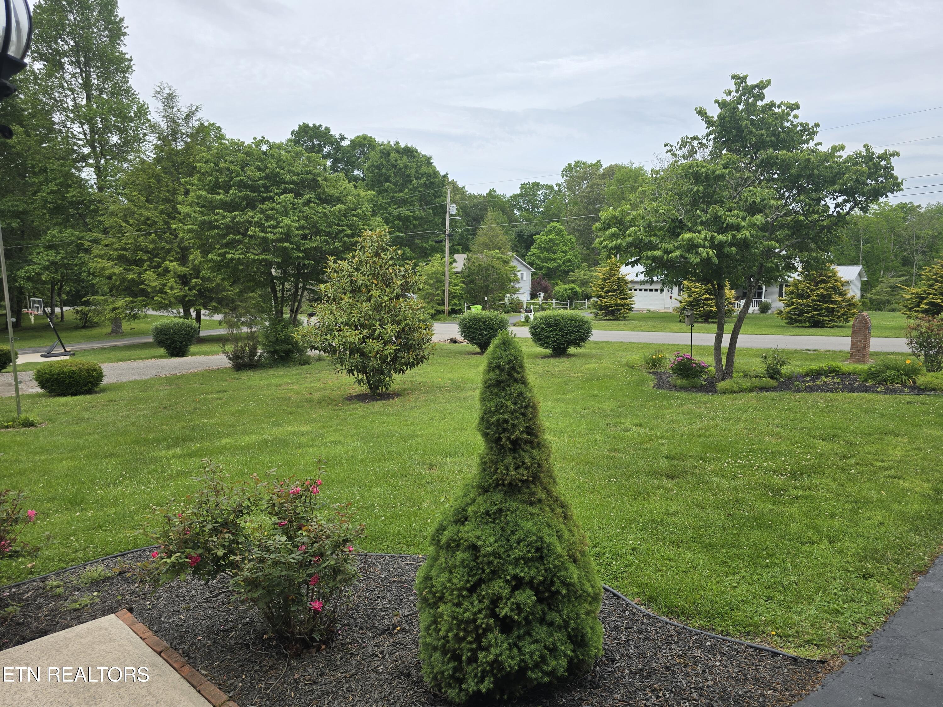 107 Scott Creek Rd
