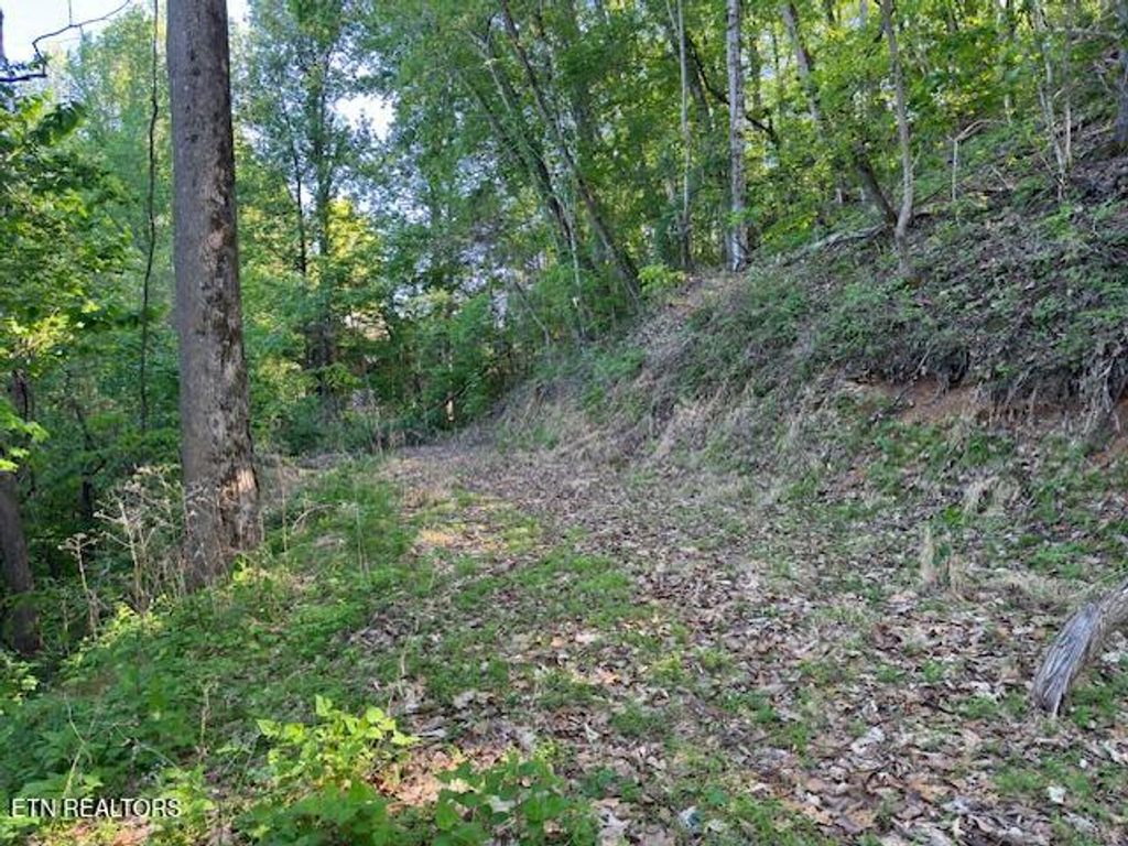 Photo of Dove View Rd #Lot 13, Sevierville, TN 37862 (MLS # 1337669)