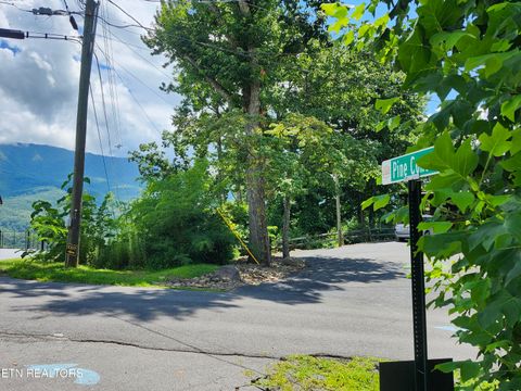 Tiny photo for 917 Pine Cone Way, Gatlinburg, TN 37738 (MLS # 1327611)