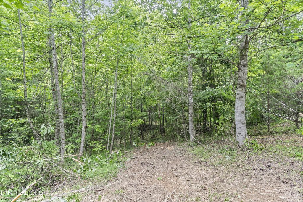 Photo of 300 Luna Lane, Sparta, TN 38583 (MLS # 1325192)