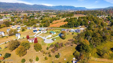 Tiny photo for Earnhardt Lane, LaFollette, TN 37766 (MLS # 1360143)