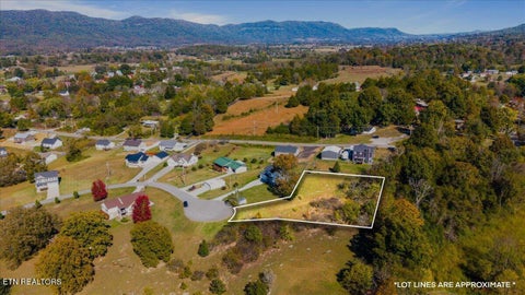 Tiny photo for Earnhardt Lane, LaFollette, TN 37766 (MLS # 1360143)