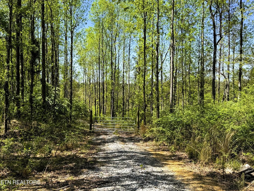 Photo of 371 County Road 357, Sweetwater, TN 37874 (MLS # 1296998)