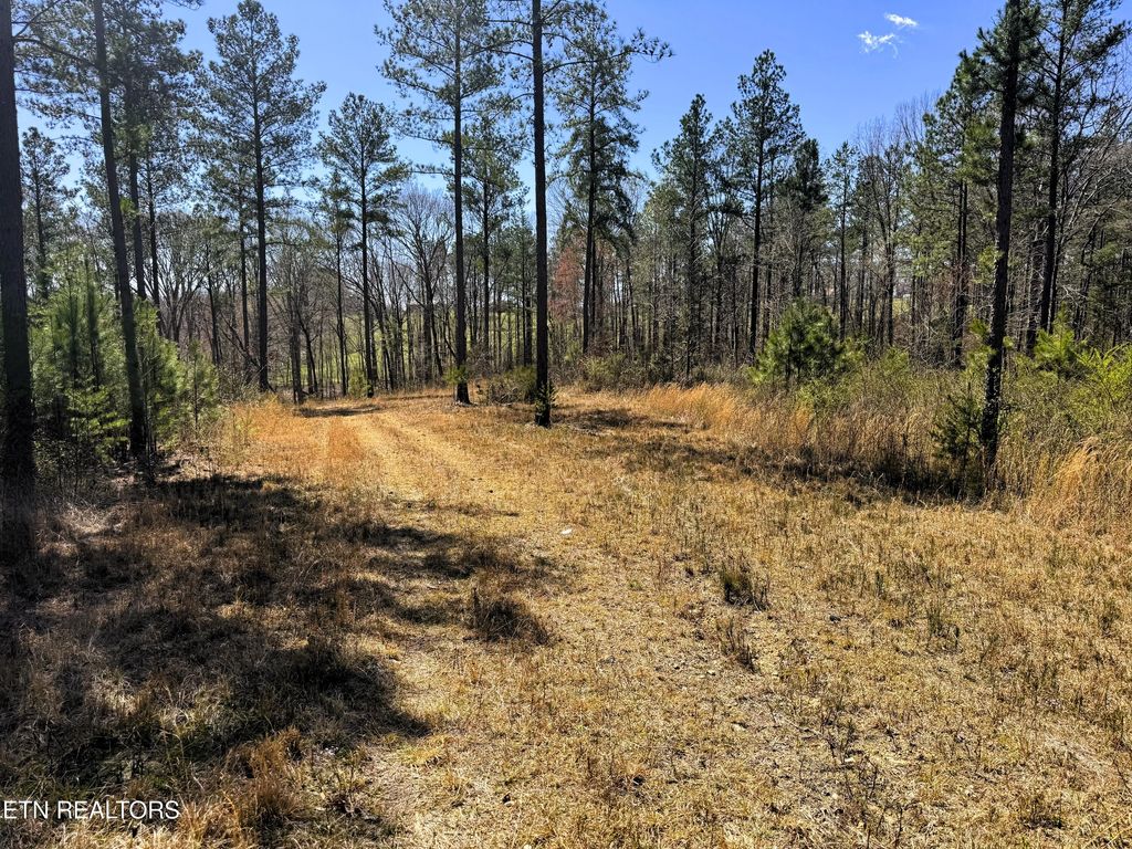 Photo of 371 County Road 357, Sweetwater, TN 37874 (MLS # 1296998)