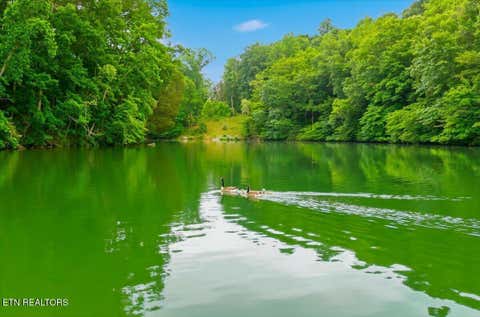 Tiny photo for 22292233 Everett Rd, Knoxville, TN 37932 (MLS # 1344194)