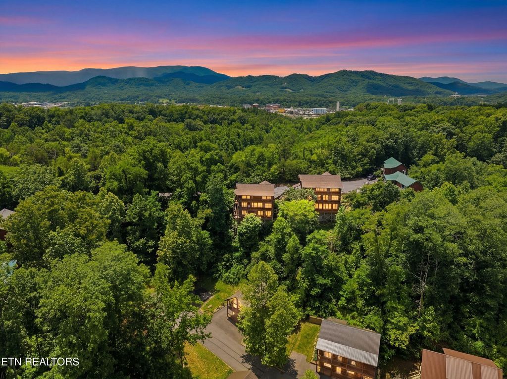 Photo of 452 Alpine Mountain Way, Pigeon Forge, TN 37863 (MLS # 1342830)