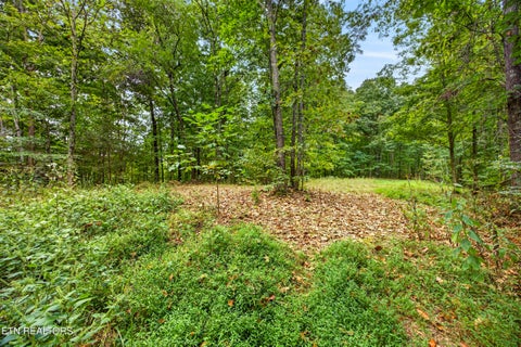 Tiny photo for 28 Timber Ridge Lane, Celina, TN 38551 (MLS # 1357276)