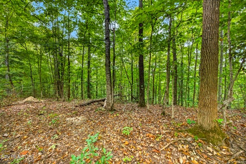 Tiny photo for 28 Timber Ridge Lane, Celina, TN 38551 (MLS # 1357276)