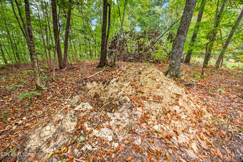Tiny photo for 28 Timber Ridge Lane, Celina, TN 38551 (MLS # 1357276)