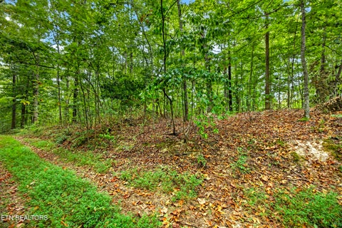 Tiny photo for 28 Timber Ridge Lane, Celina, TN 38551 (MLS # 1357276)