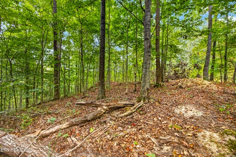 Tiny photo for 28 Timber Ridge Lane, Celina, TN 38551 (MLS # 1357276)