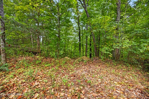 Photo of 28 Timber Ridge Lane, Celina, TN 38551 (MLS # 1357276)