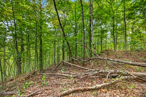 Tiny photo for 28 Timber Ridge Lane, Celina, TN 38551 (MLS # 1357276)
