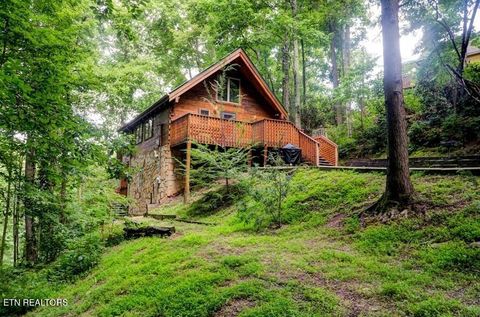 Photo of 833 Stans Rd, Gatlinburg, TN 37738 (MLS # 1341255)