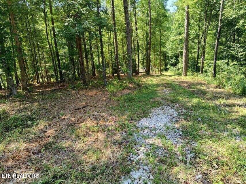 Photo of 488 Ashe Cabin Hollow Rd, Harriman, TN 37748 (MLS # 1358047)