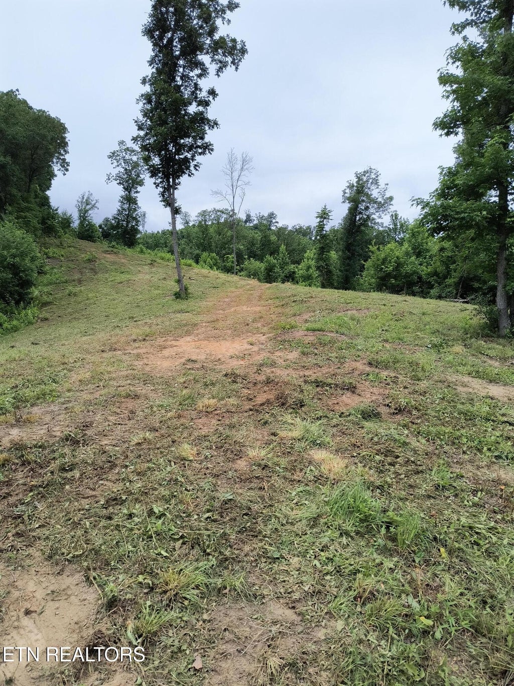 Photo of 488 Ashe Cabin Hollow Rd, Harriman, TN 37748 (MLS # 1358047)