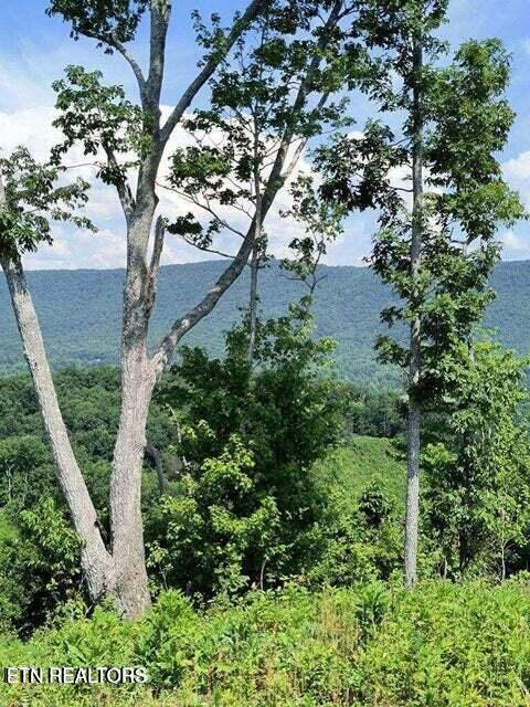 488 Ashe Cabin Hollow Rd
