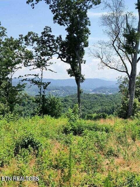 488 Ashe Cabin Hollow Rd
