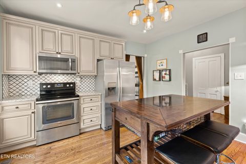 Tiny photo for 821 Luttrell St, Knoxville, TN 37917 (MLS # 1316272)